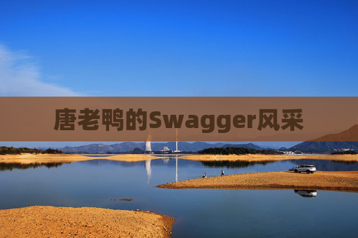 唐老鸭的Swagger风采