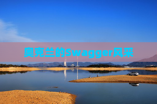 奥克兰的Swagger风采
